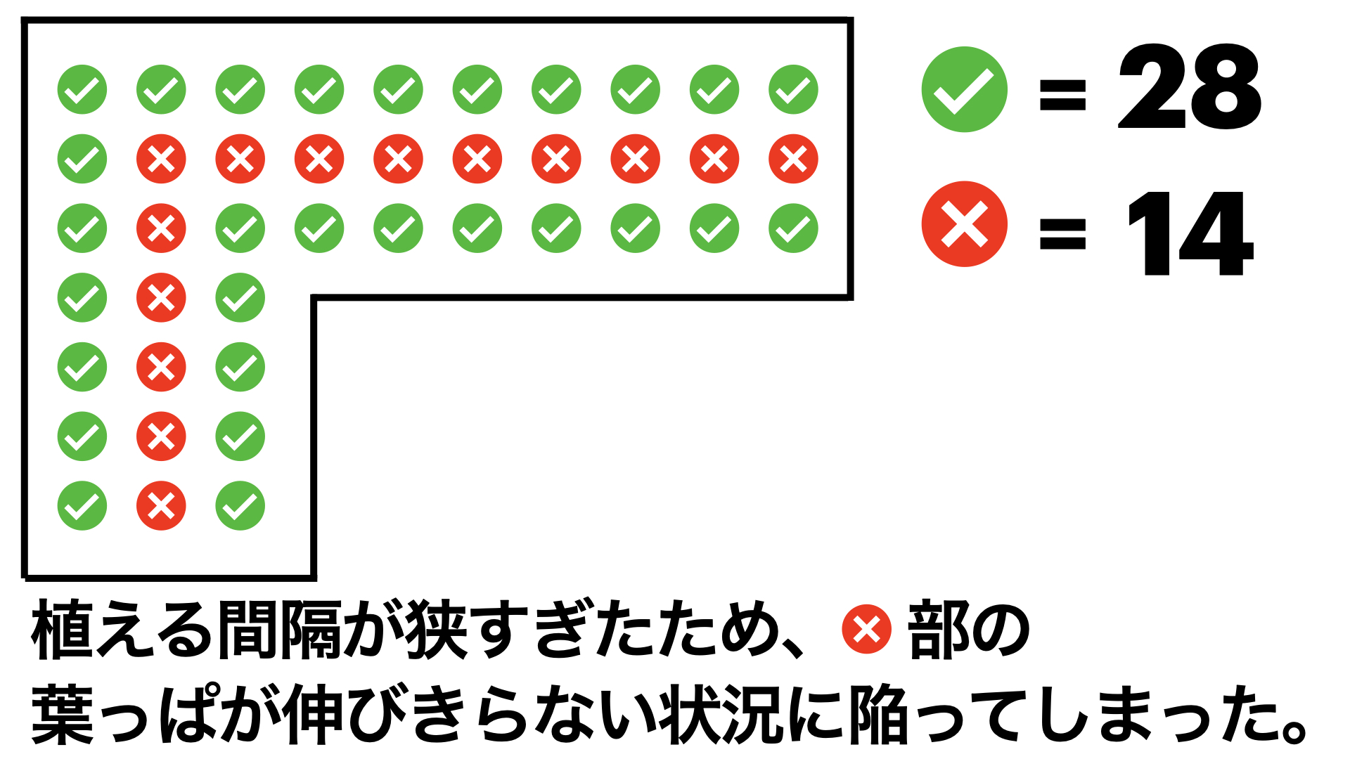 植える間隔注意　画像