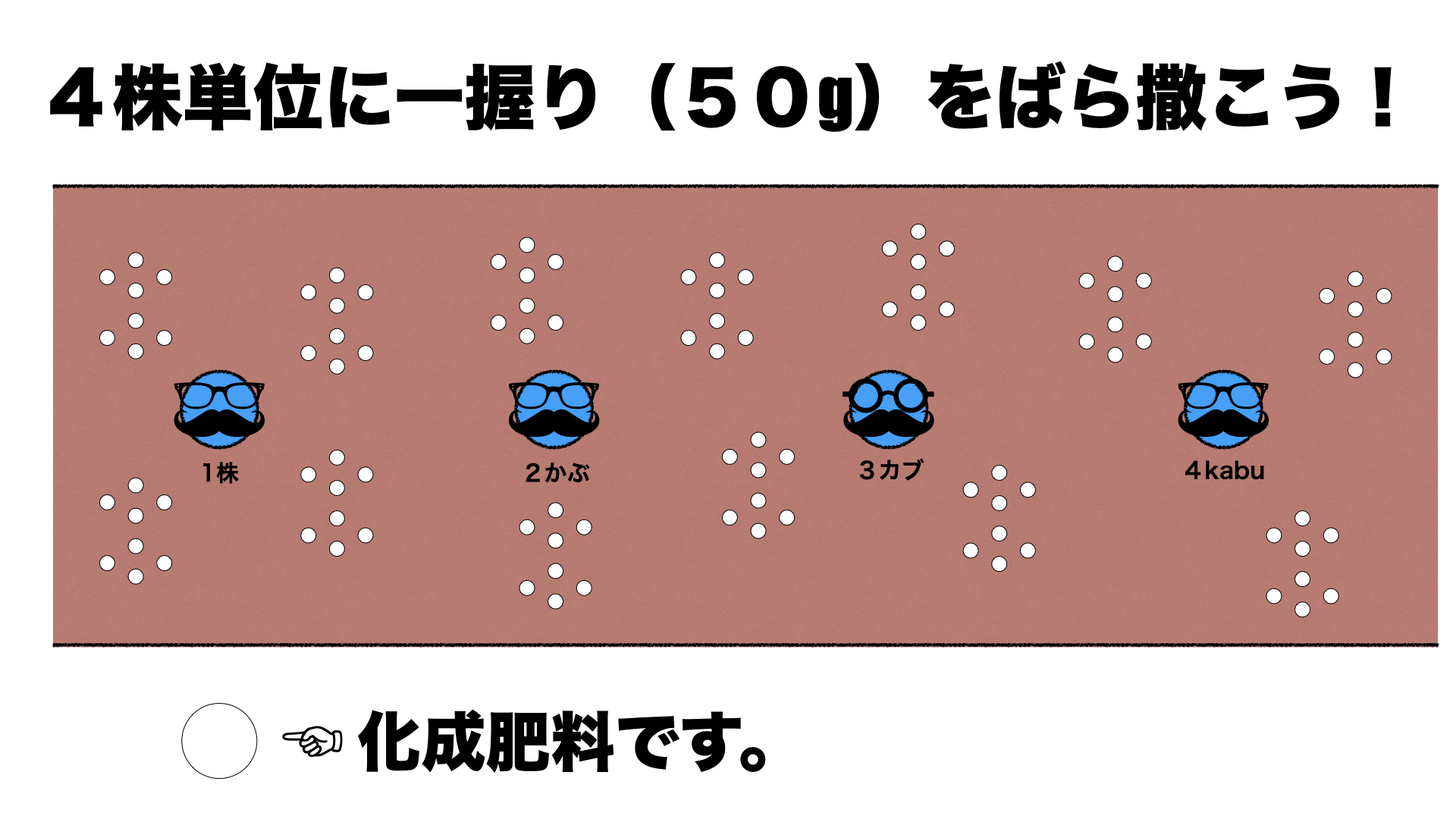 ４株に一握り　図解　画像